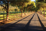 What to Know Before Enrolling in Medicare Advantage